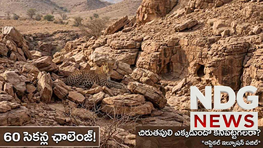 optical-illusion-puzzle-find-the-hidden-cheetah-or-leopard