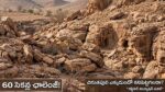 optical-illusion-puzzle-find-the-hidden-cheetah-or-leopard