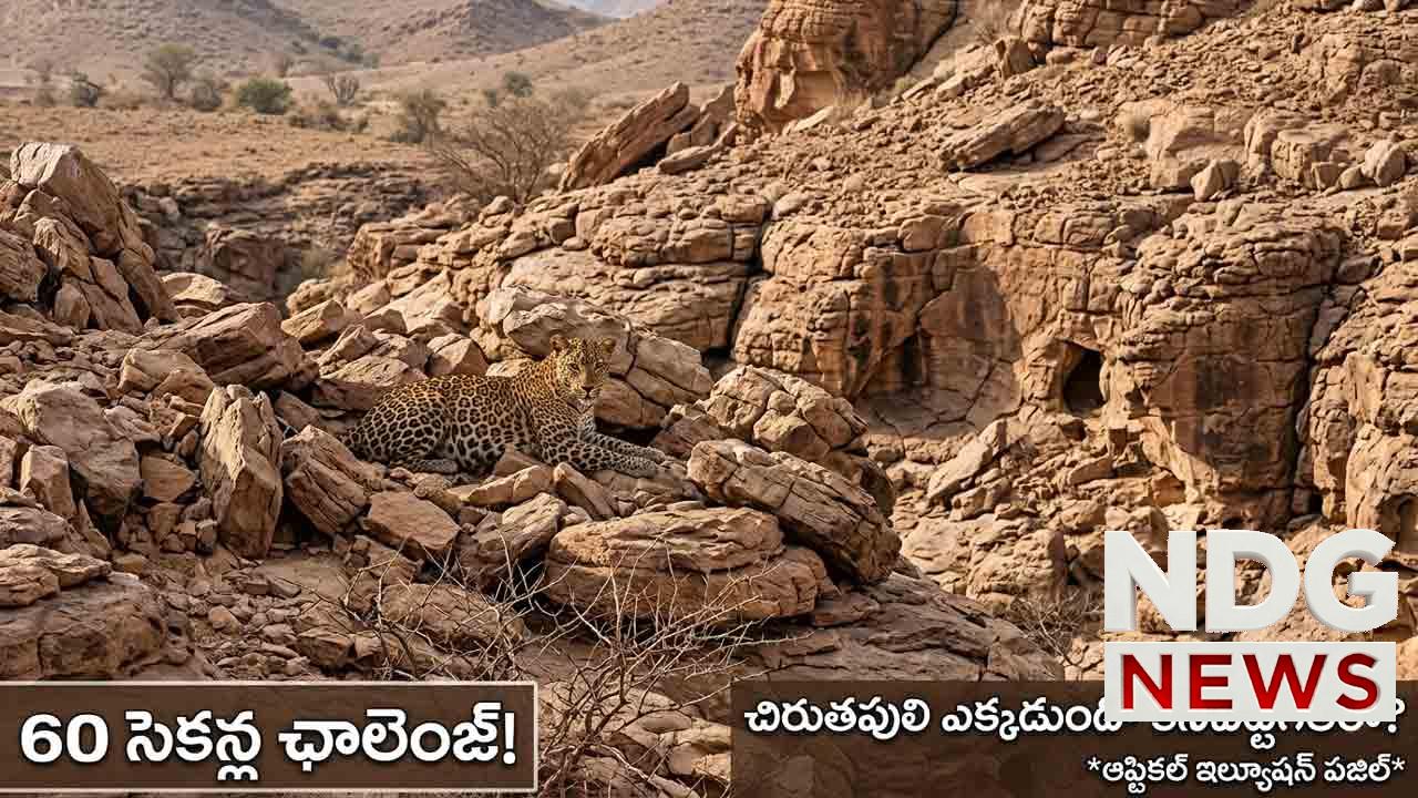 optical-illusion-puzzle-find-the-hidden-cheetah-or-leopard