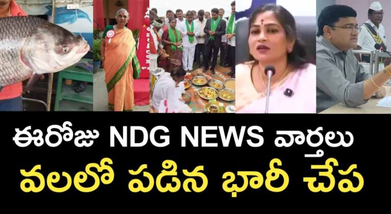 Today NDG news