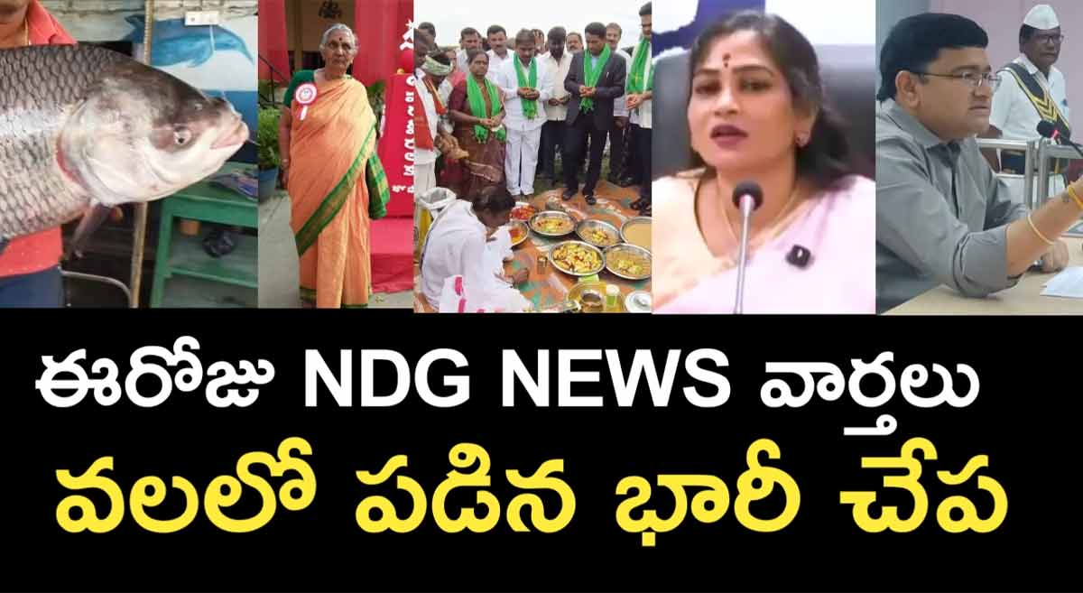 Today NDG news