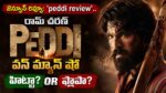 peddi review