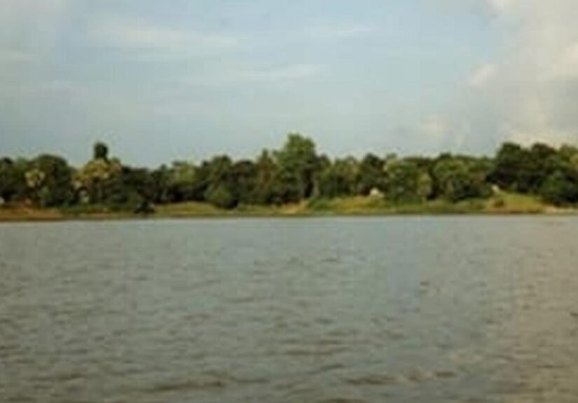 Chillakallu Illegal Fishing NTR District