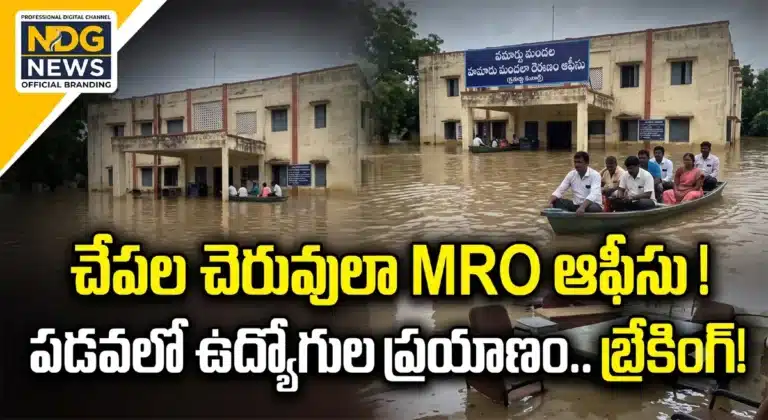 Pamarru Rain